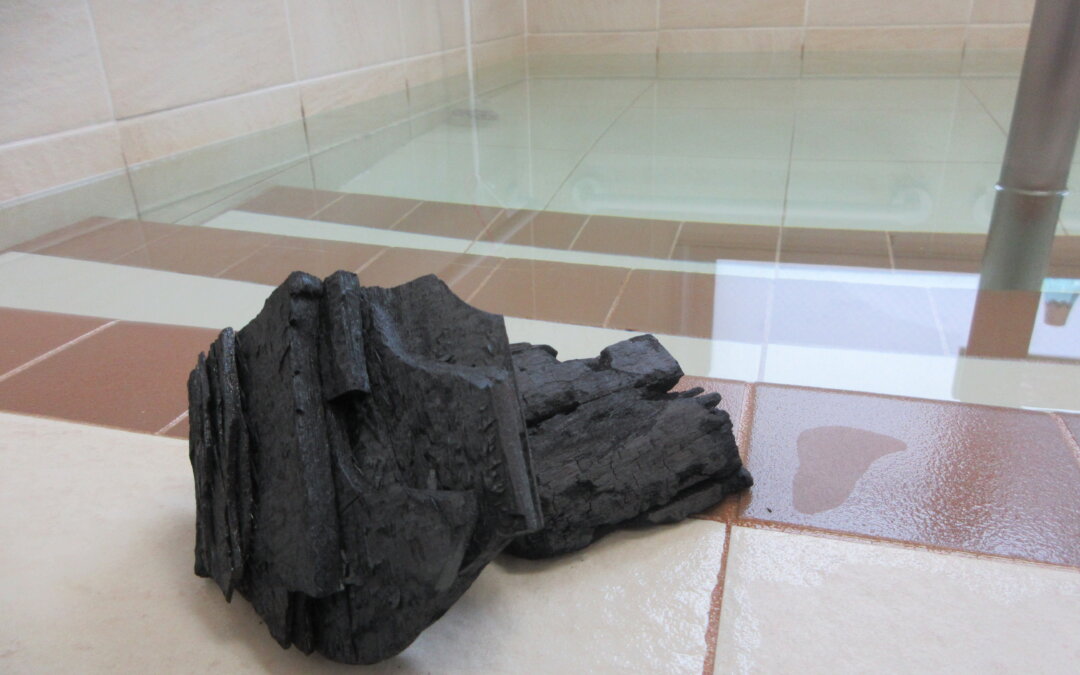 【DS】風呂の日