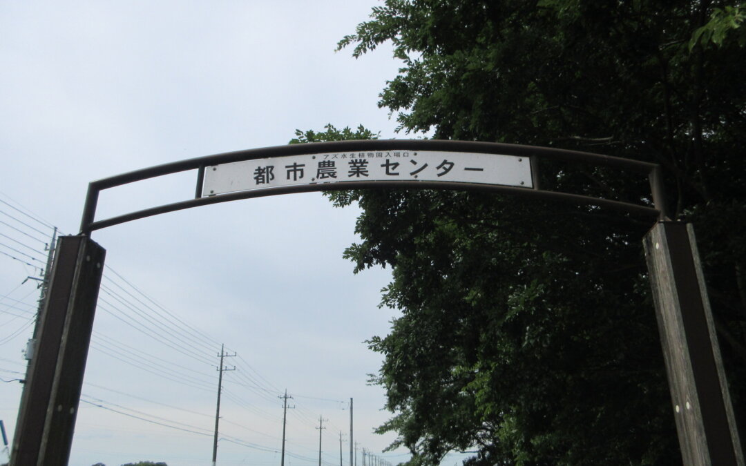 【DS】紫陽花ドライブ